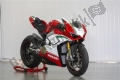 Todas las piezas originales y de repuesto para su Ducati Superbike Panigale V4 Specale Thailand 1100 2019.
